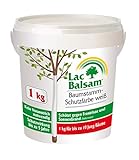 Etisso Lac Balsam Baumstamm Schutzfarbe weiß 1 kg