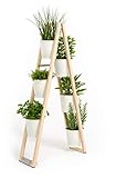 Pflanzleiter, Blumenregal, Blumenleiter, Kräutertöpfe 2 in 1, kann frei Stehen oder hochgestellt an Einer Wand lehnen (Weiß)